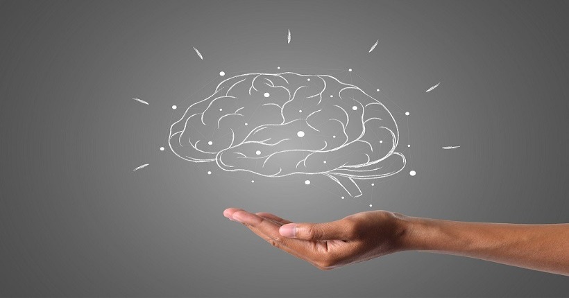 Fotografía de cerebro en mano de Pixabay.
