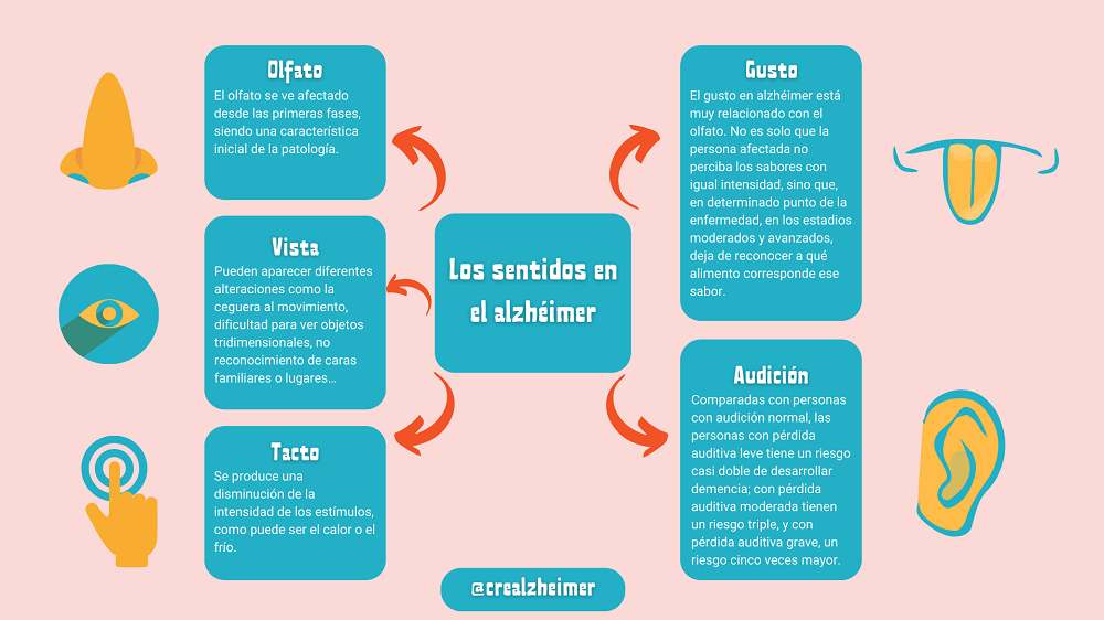 Infografía los sentidos del alzhéimer Infografía los sentidos del alzhéimer