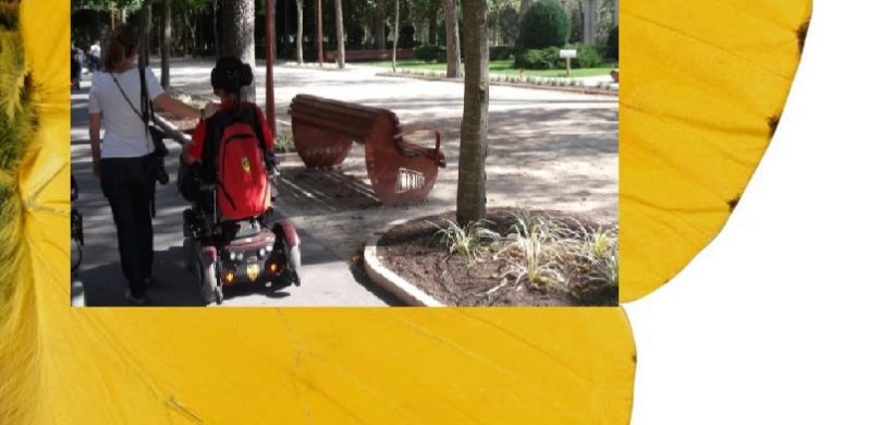 Tesis doctoral: Impacto psicosocial de la silla de ruedas en las personas con una enfermedad neuromuscular