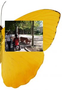 Imagen de una persona de espaldas en silla de ruedas acompañada por otra persona que camina. Esta imagen está superpuesta sobre otra imagen de una mariposa